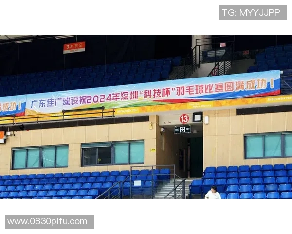 深圳羽毛球队实力解析：从训练到比赛的全面剖析与展望